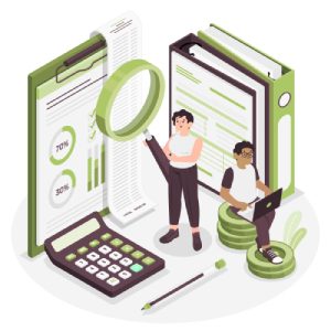 fincon_audit_assistance