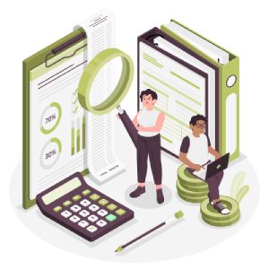 fincon_audit_assistance