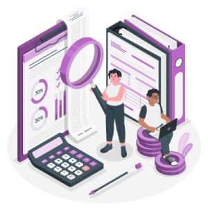 Fincono_audit_assistance